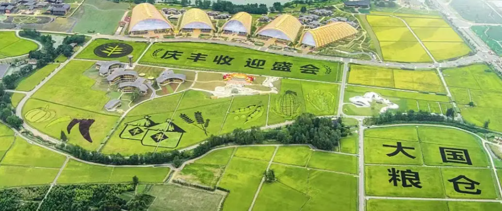 第五个中国农民丰收节|qy千亿携农产品品质成分低场核磁快速分析仪 亮相天府农博园